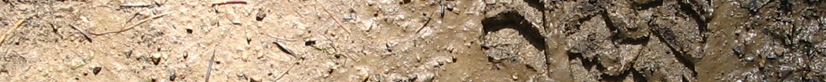 Lyrik - die mauer