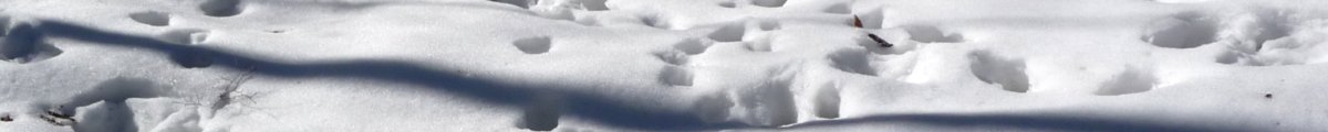 Lyrik - kleiner schnee